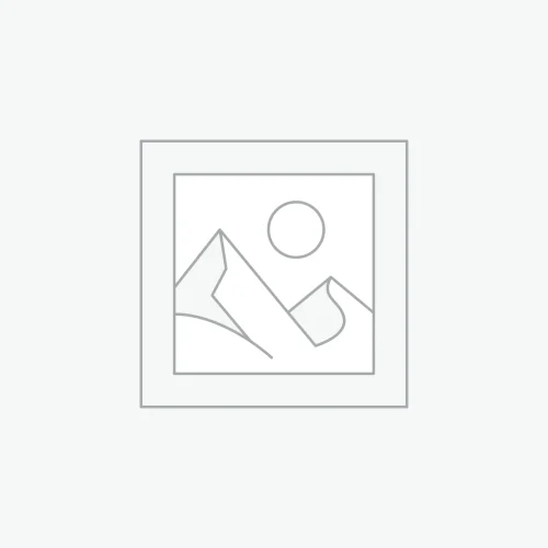 Figura Labubu Sorpresa